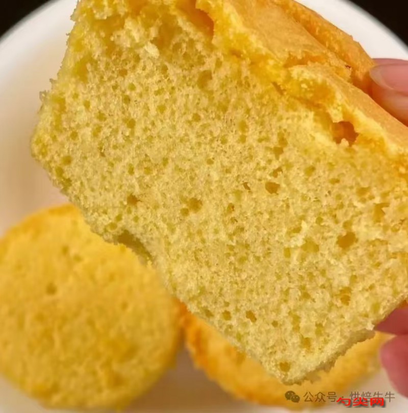 微信圖片_20240819154952