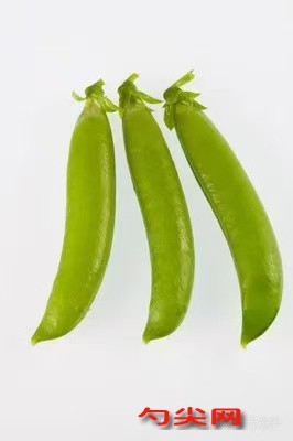 微信圖片_20250204153133