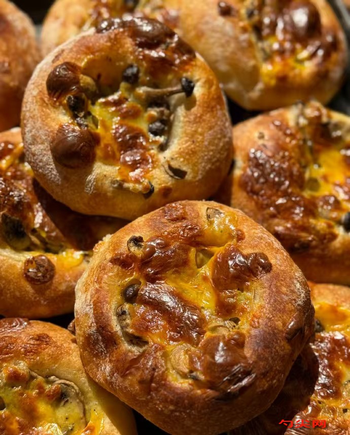 微信圖片_20251027150350_2757_5