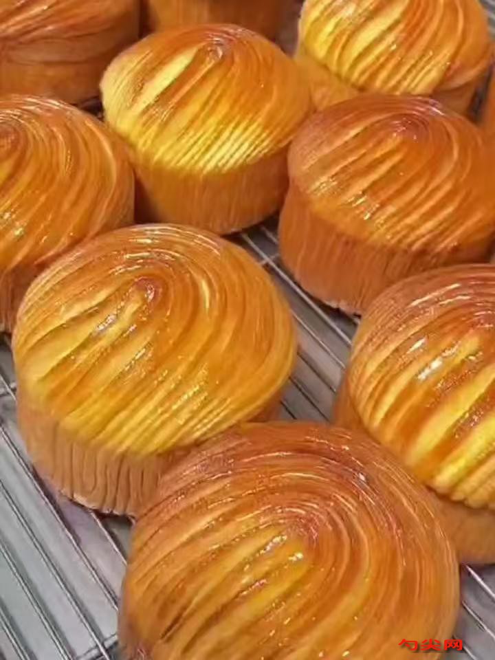 微信圖片_20251027150647_2758_5