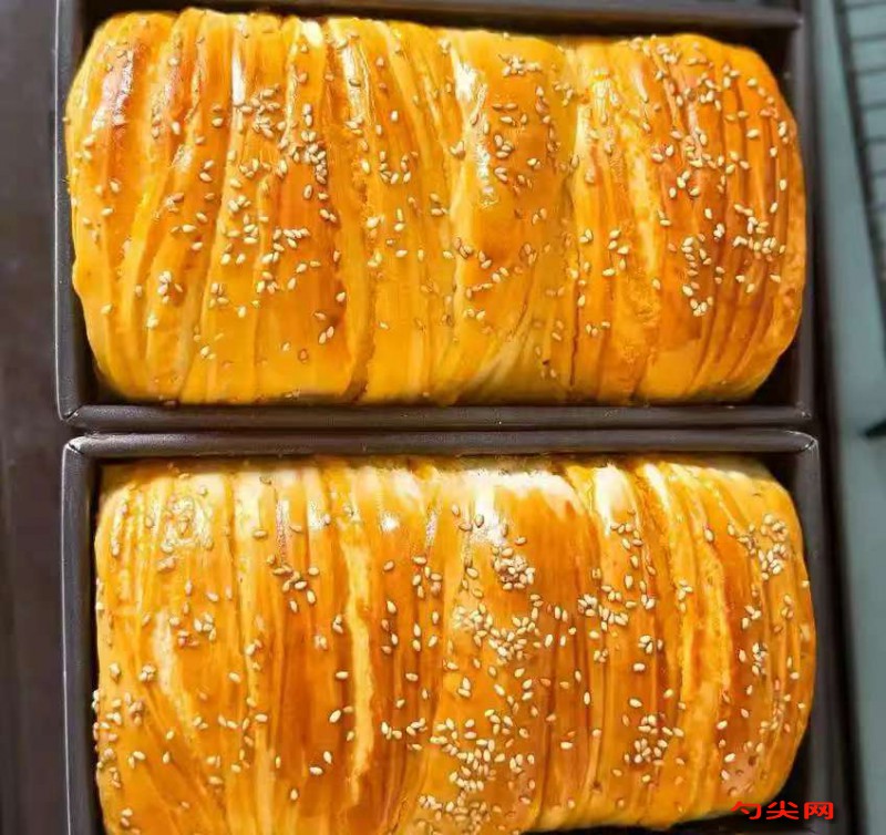 微信圖片_20251114151614_295_223