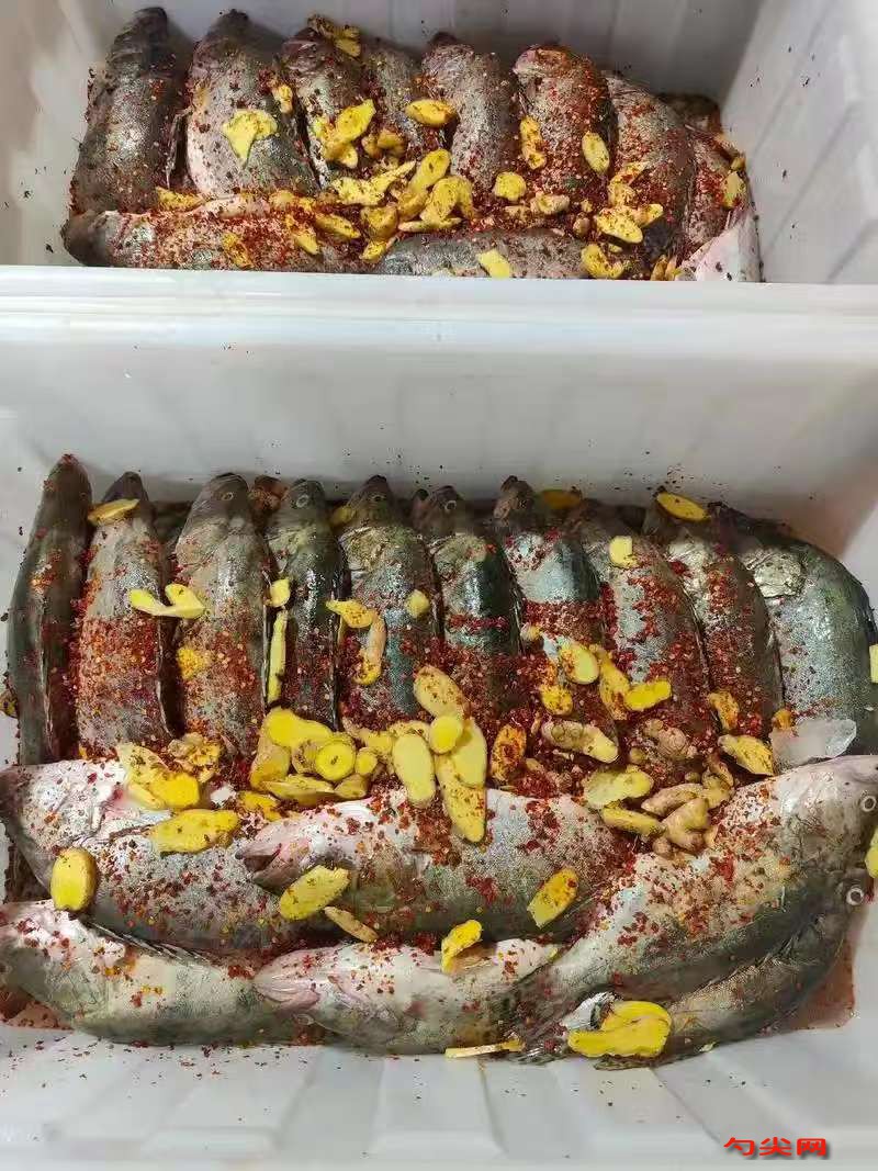 微信圖片_20251114151614_295_223