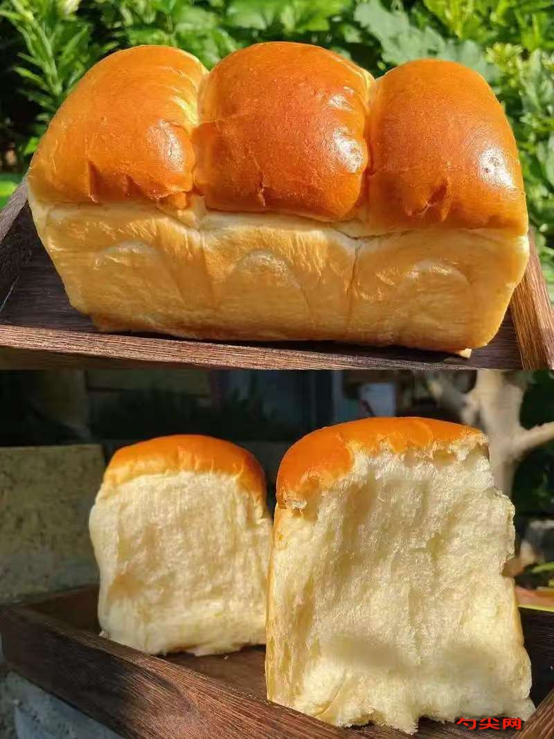 微信圖片_20251119115325_3262_5