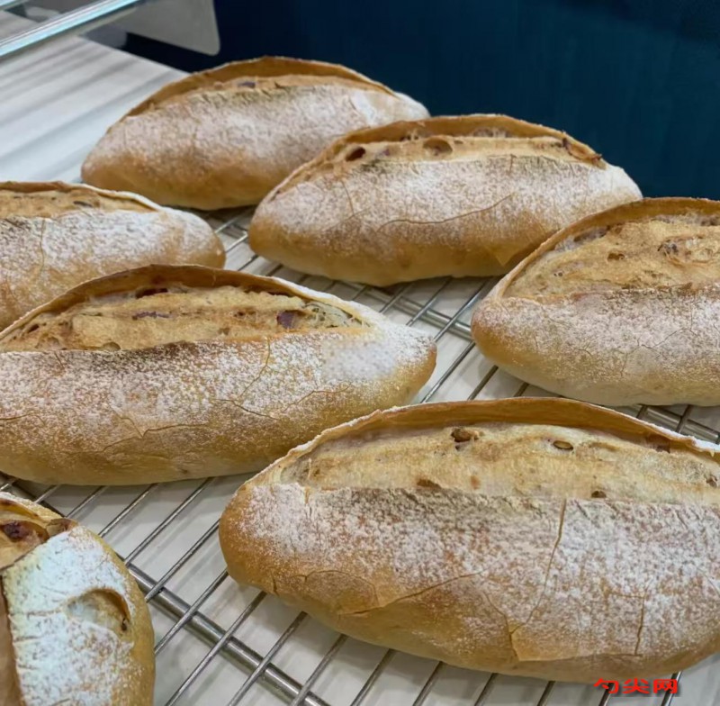 微信圖片_20251119115325_3262_5