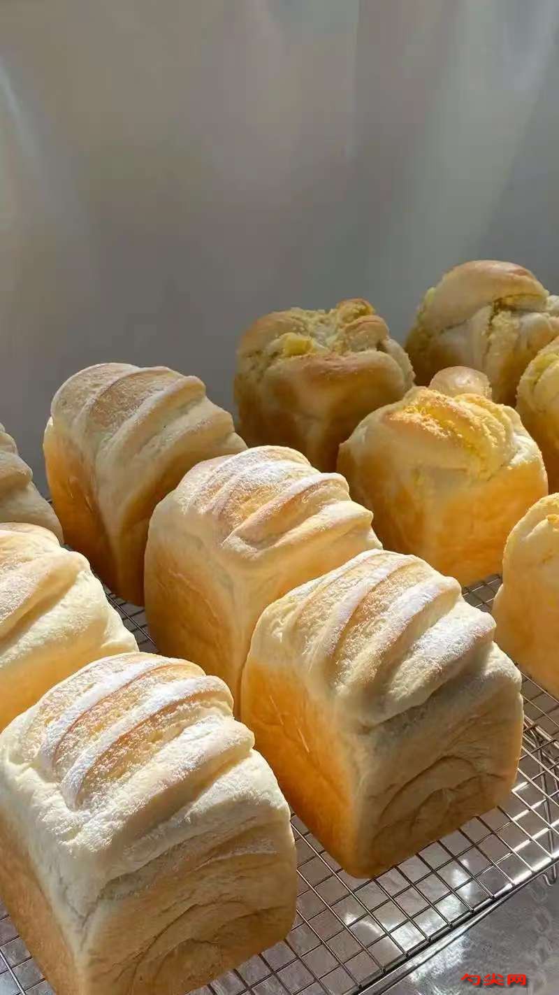 微信圖片_20251219133935_50_5