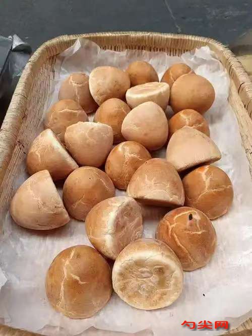 微信圖片_20251219133935_50_5