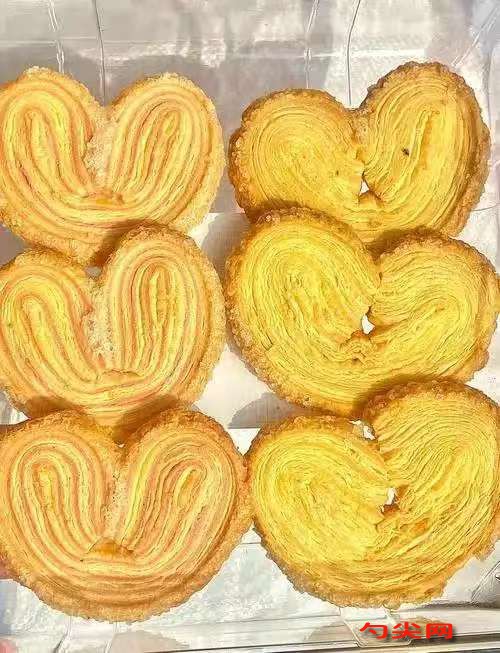 微信圖片_20251227164810